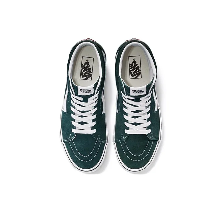 Vans SK8 Hi Scarab-2