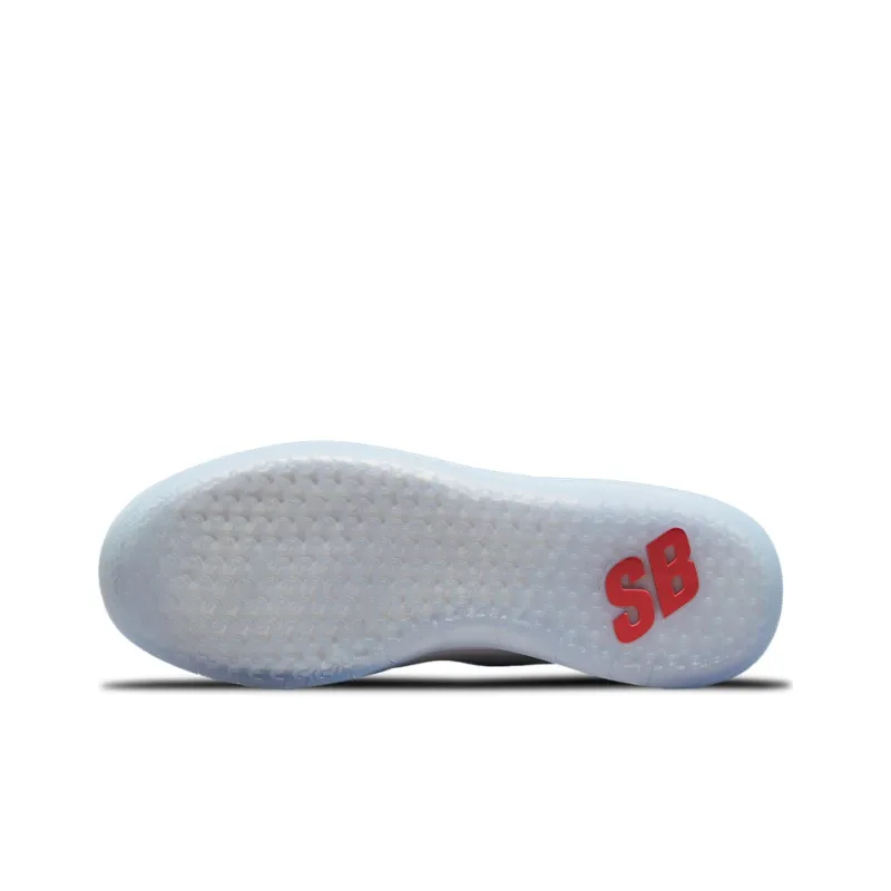 Nike Nyjah Free 2 SB Summit White Coast-5