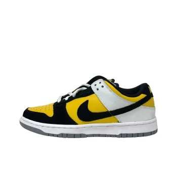 Nike Sb Dunk Low Bic