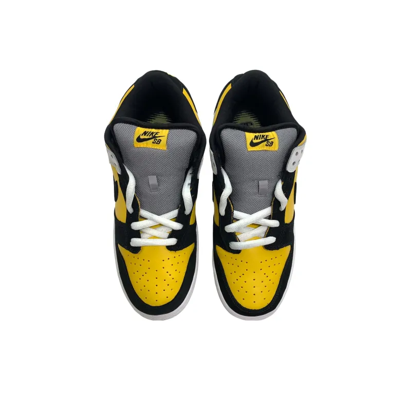 Nike Sb Dunk Low Bic-2