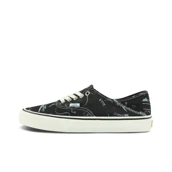 Vans Authentic Sf Chris Johanson Black Antique White