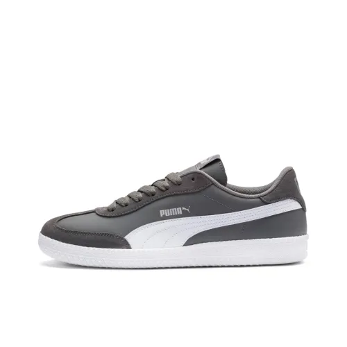 PUMA Astro Cup Skateboard Shoes Unisex Low-Top Gray