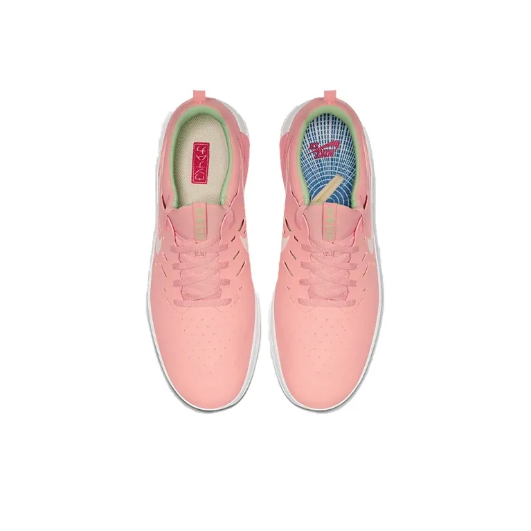 Nike Sb Nyjah Free Sushi-4