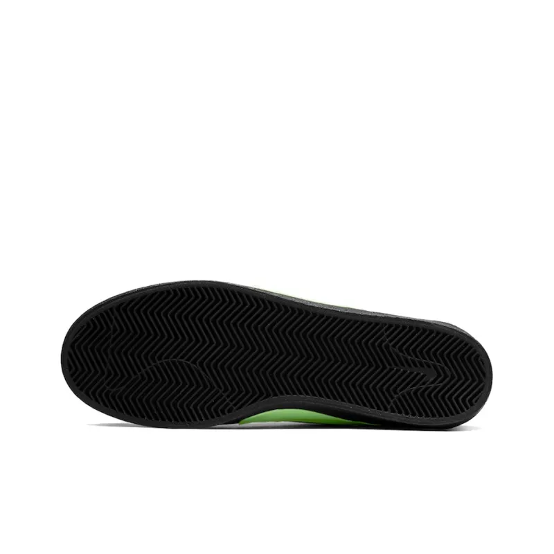 Nike Sb Bruin The Poets-4