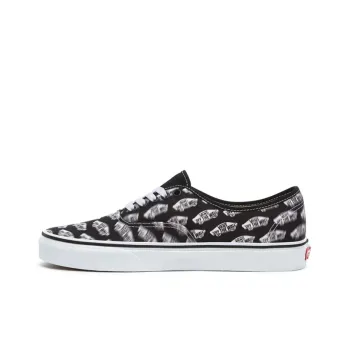Authentic Vans 'Blur Boards'