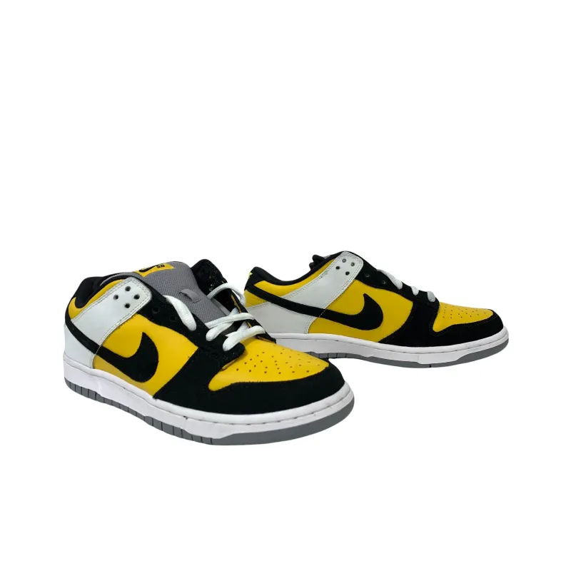Nike Sb Dunk Low Bic-1
