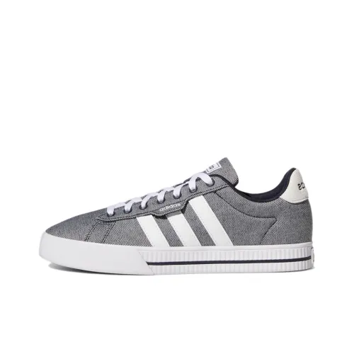 Adidas Neo Daily 3.0 Skateboard Shoes Men Low-Top Gray/White