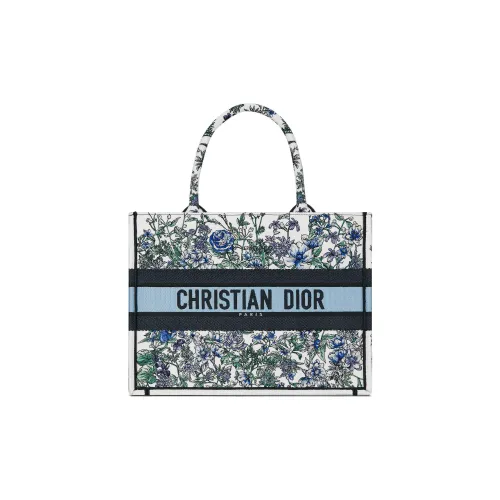 DIOR BookTote Handbags