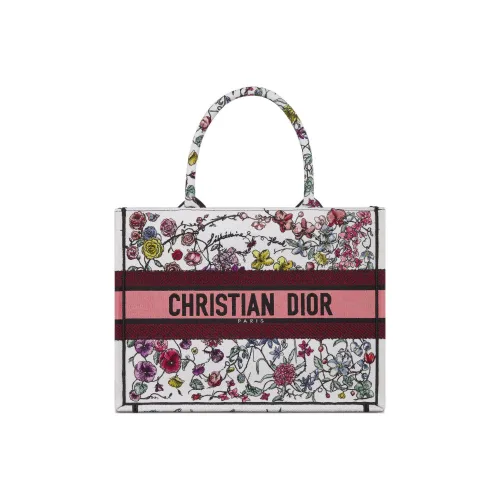 DIOR BookTote Handbags