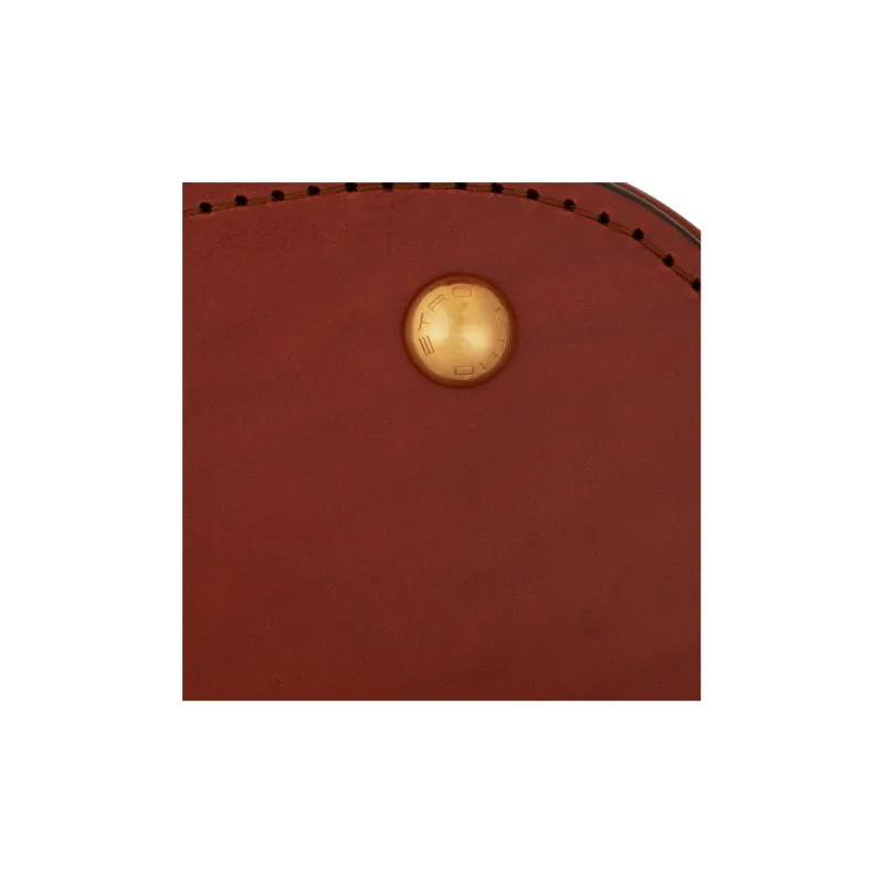 ETRO Medium Pegaso Cut Out Detailed Tote Bag-5