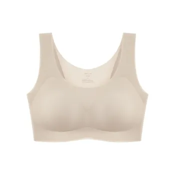 Toffee Pie Women's Bras