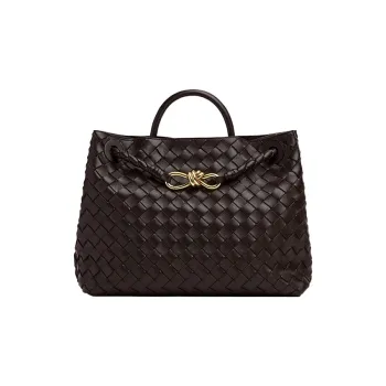 Bottega Veneta Andiamo Medium Shoulder Bag