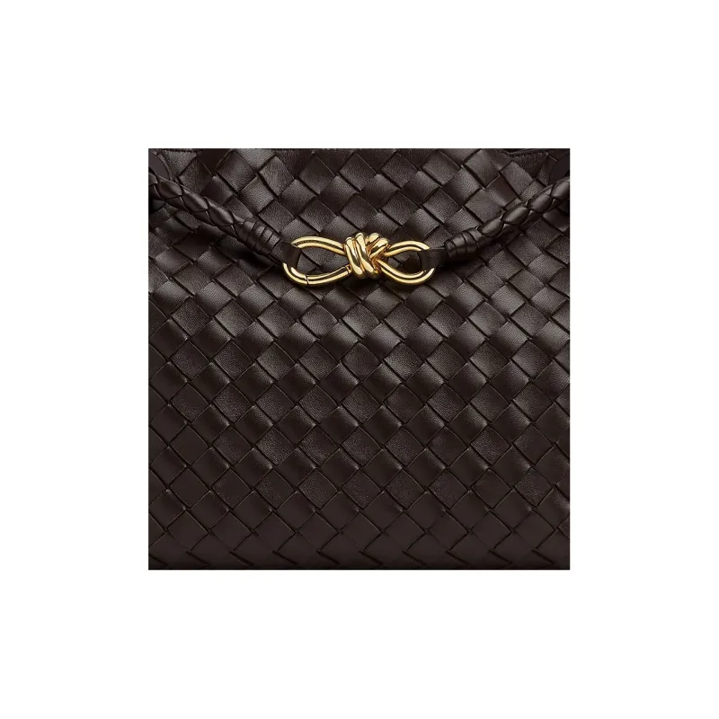 Bottega Veneta Andiamo Medium Shoulder Bag-4
