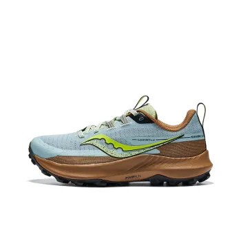 saucony Women's Peregrine 13 'Glacier Bronze'