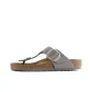 Dove Gray