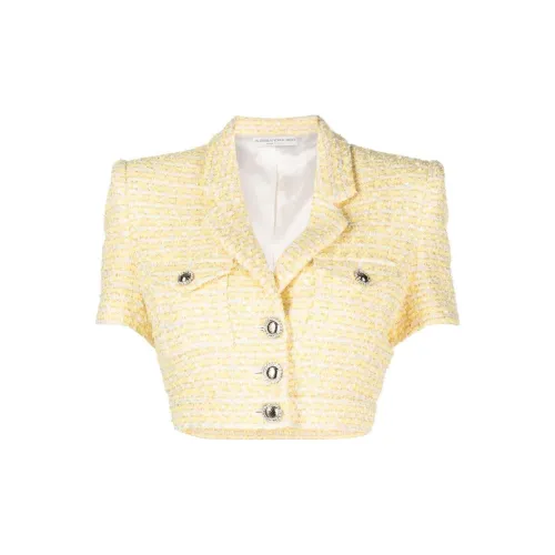 Alessandra Rich Tweed Short-sleeve Cropped Jacket