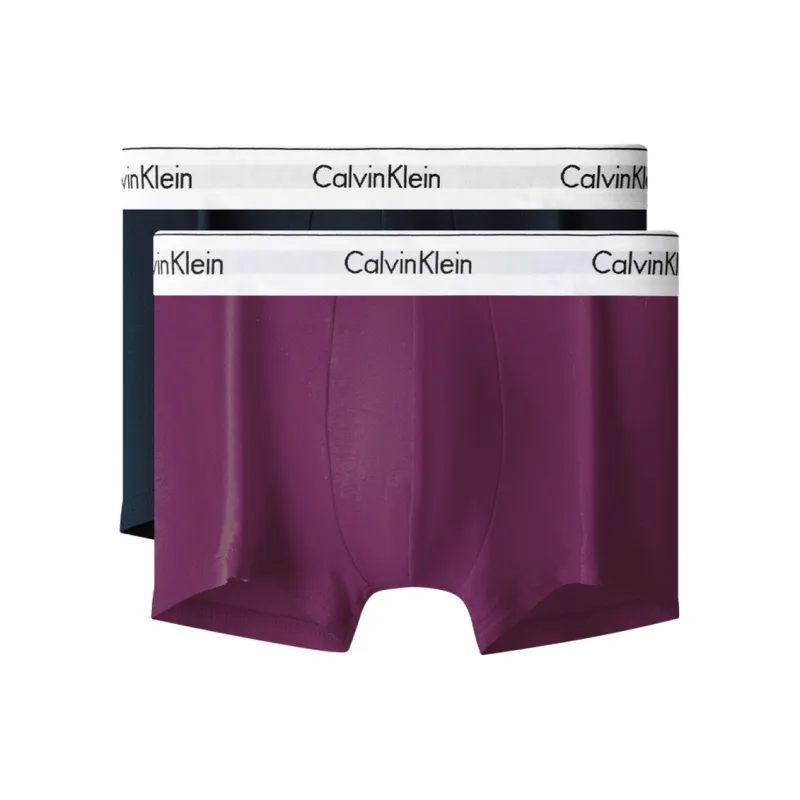 CALVIN KLEIN Underpants Men's 2 Pack-1