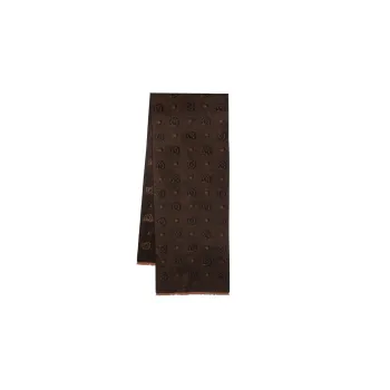 FERRAGAMO Silk Scarves Women's Brown