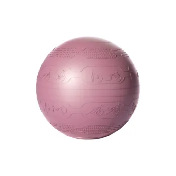 PROIRON Yoga Balls