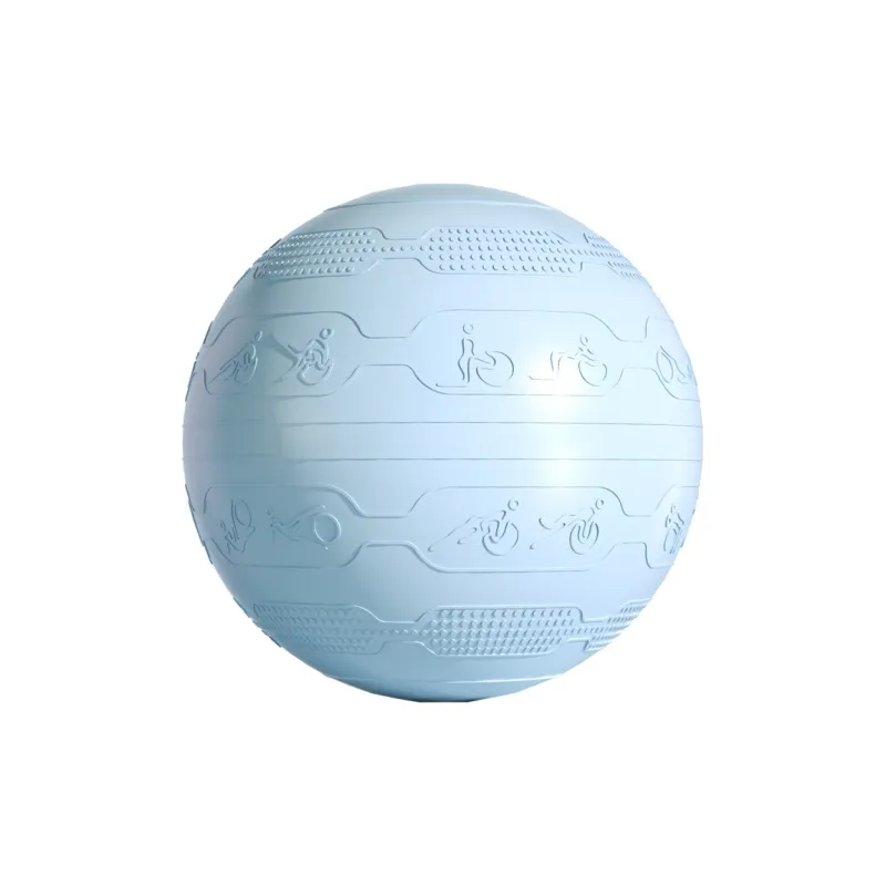 PROIRON Yoga Balls-8