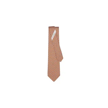 Ferragamo Ties Men Brown
