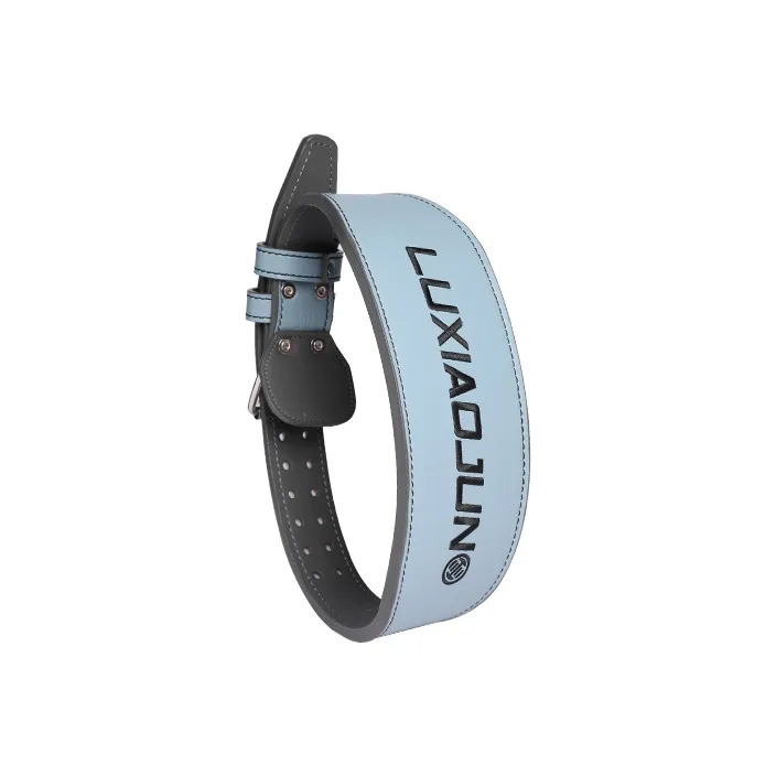 LUXIAOJUN Back Support Braces Fitness Protective Cow Leather Unisex-13