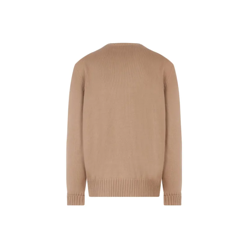 Alexander McQueen Sweaters Men Light Umber-1