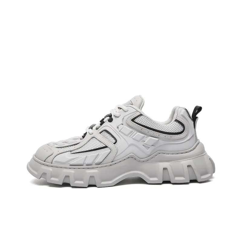 Anthony Miles Chunky Sneakers Men Low Top Gray-0