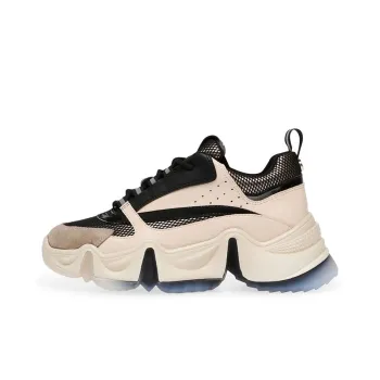 STEVE MADDEN Chunky Sneakers Women's Low-Top Black Brown