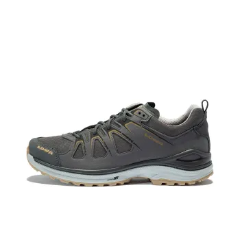 Lowa EVO GTX Low-Top Outdoor Shoes Men's Bronze Gray