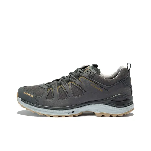 Lowa EVO GTX Low Top Outdoor Shoes Men's Bronze Gray