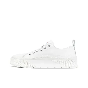 Dickies Canvas Shoes Men Low-Top White