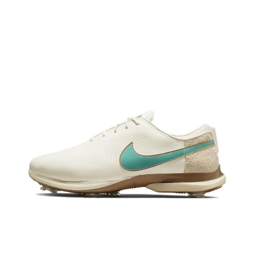 Nike Victory Tour Golf shoes Male