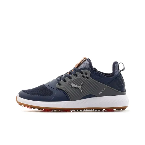 PUMA Ignite Golf Shoes Men Low-Top Blue/Gray