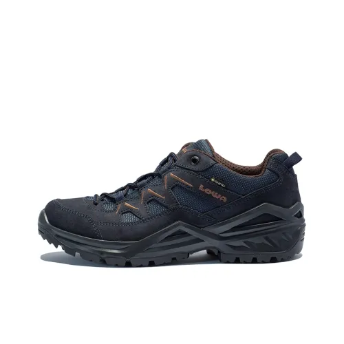Lowa SIRKOS EVO GTX Low Top Outdoor Shoes Unisex Cyan
