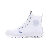 53672081