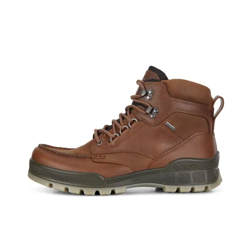 Ecco Outdoor Boots Men Brown