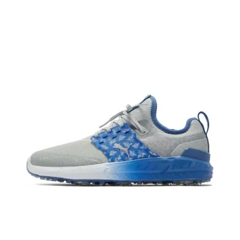 PUMA Ignite Articulate Pollination 'Gray Blue'