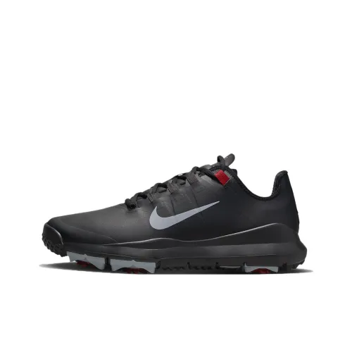 Male Nike Tiger Woods Golf shoes