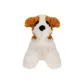 Sitting Posture Puppy