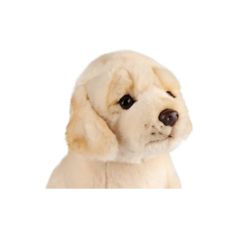 NATIONAL GEOGRAPHIC Animal National Geographic Box Included Dog Collection Plush Toy Dolls Plush Doll-17