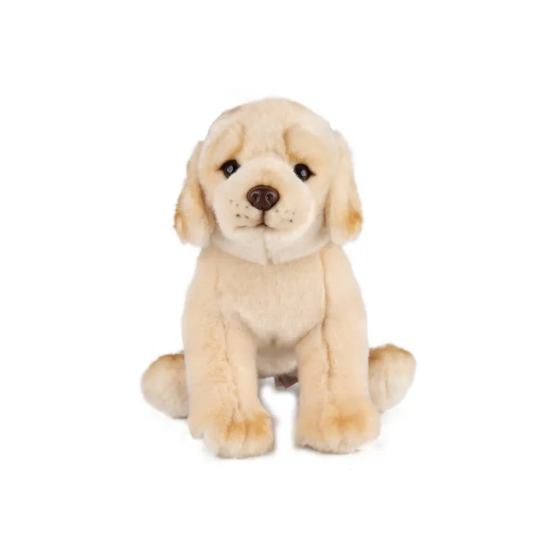 NATIONAL GEOGRAPHIC Animal National Geographic Box Included Dog Collection Plush Toy Dolls Plush Doll-15