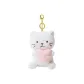 Milk Cat