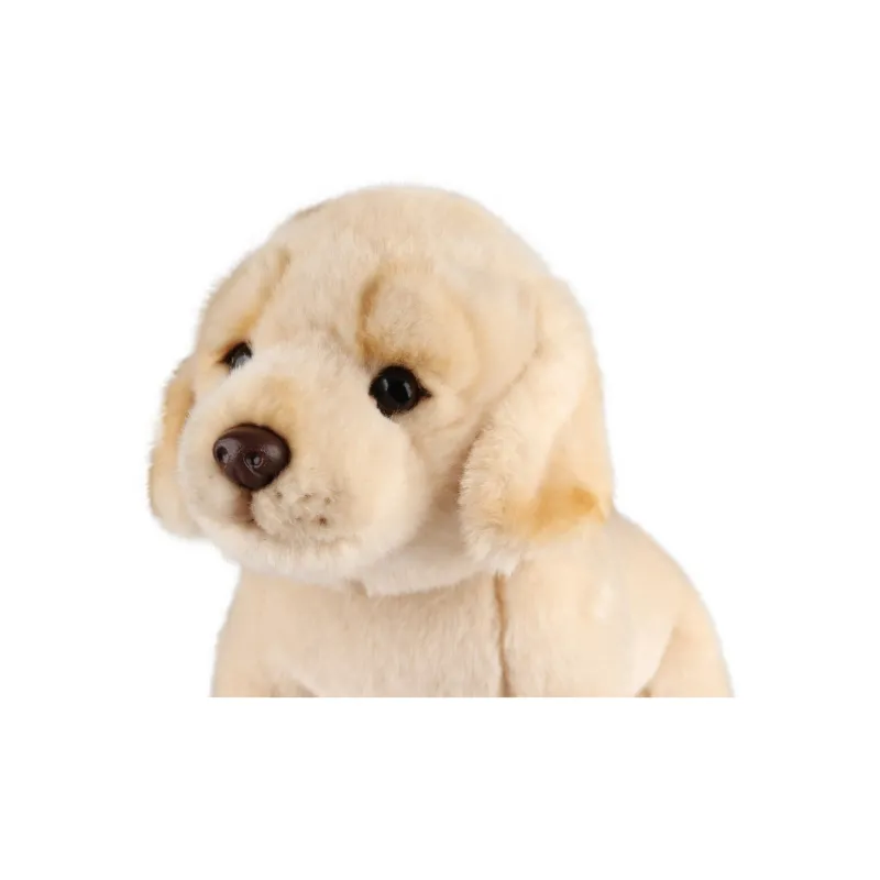NATIONAL GEOGRAPHIC Animal National Geographic Box Included Dog Collection Plush Toy Dolls Plush Doll-20