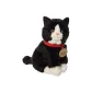 Sitting Black Cat