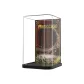 Fairy Tale Town Collection-Pinocchio (Version A) Heat-Bent Integrated (Unibody)