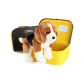 Box Included 10.5" Beagle