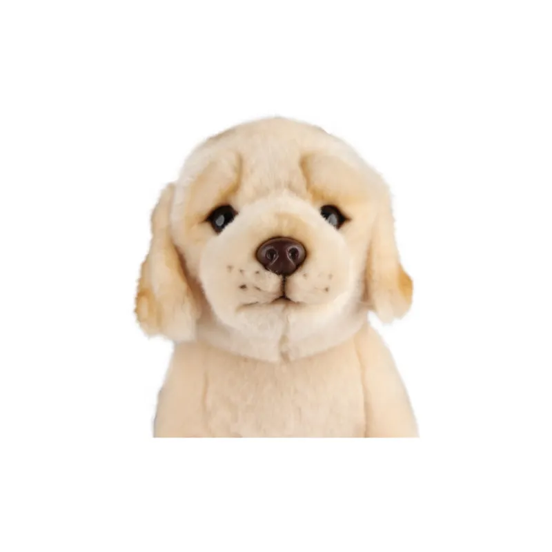NATIONAL GEOGRAPHIC Animal National Geographic Box Included Dog Collection Plush Toy Dolls Plush Doll-16