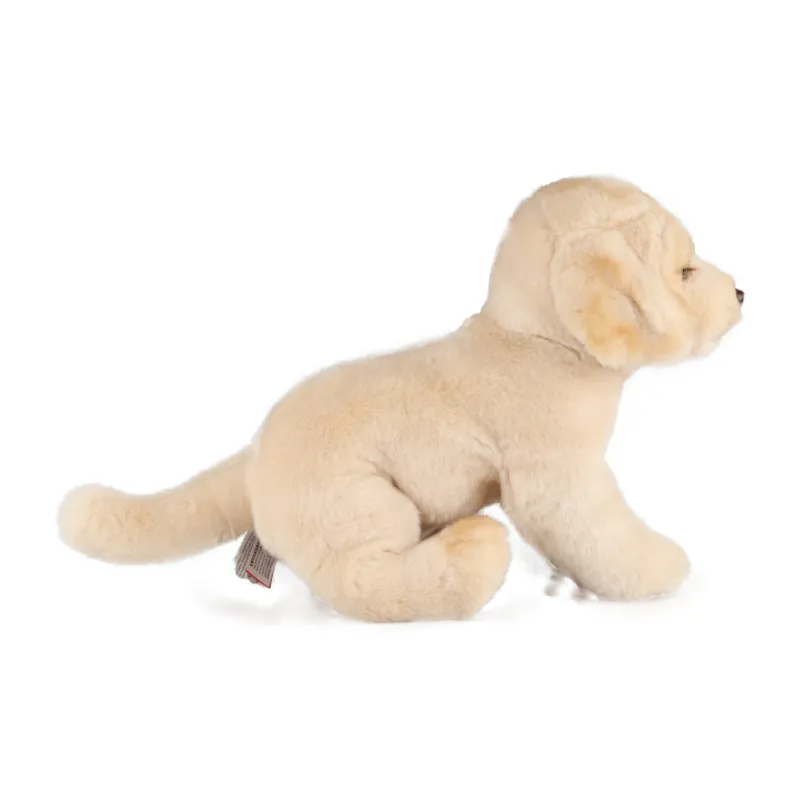 NATIONAL GEOGRAPHIC Animal National Geographic Box Included Dog Collection Plush Toy Dolls Plush Doll-19