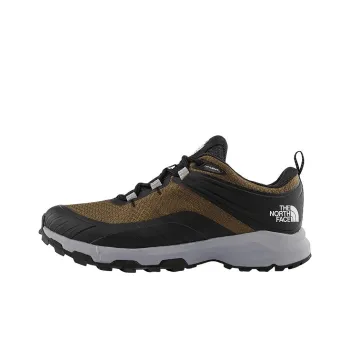 THE NORTH FACE Cragmont Waterproof Hiking Shoes 'Black Brown'